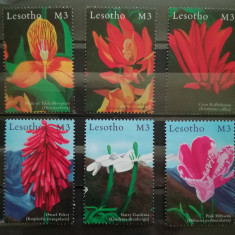 BC576, Lesotho 2000, serie flori