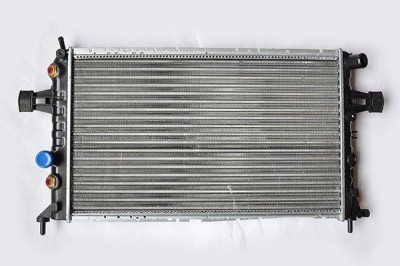 Radiator Racire Motor 48560 TH.01.109 foto