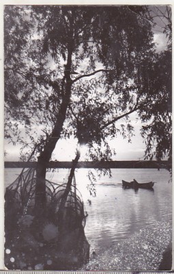 bnk cp Apus de soare in Delta Dunarii - Vedere - circulata foto