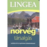 Lingea norv&eacute;g t&aacute;rsalg&aacute;s - Sz&oacute;t&aacute;rral &eacute;s nyelvtani &aacute;ttekint&eacute;ssel