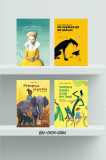 Pachet cărți pentru copii autori rom&acirc;ni (4 titluri), Vlad Si Cartea Cu Genius