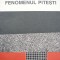 Fenomenul Pitesti - Virgil Ierunca