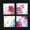 china flori mnh