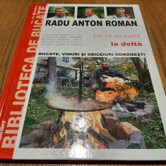 RADU ANTON ROMAN - De la MUNTE la DELTA - Vol. VII - Editura Paideia, 2008, 94p.