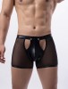 Eross boxeri Opeanable M Black