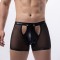 Eross boxeri Opeanable S Black
