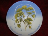 CASETA / BOMBONIERA DIN PORTELAN VILLEROY &amp; BOCH GINKO BILOBA