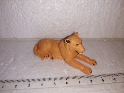 bnk jc Britains Ltd - leoaica foto