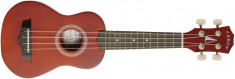 Ukulele Arrow PB 10 Natural Dark Top foto