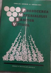 PRODUCEREA MATERIALULUI SADITOR VITICOL B BALTAGI