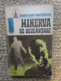 Rodica Ojog Brasoveanu - Minerva se dezlantuie