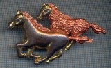 AX 946 INSIGNA -TEMATICA HIPICA -PENTRU COLECTIONARI
