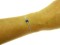 icon 5