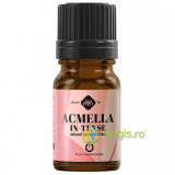 Extract de Acmella In-Tense 5ml