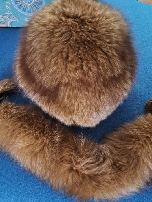 Căciulă și guler de vulpe polara