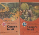 Natalia Tautu-Stanescu - Camara iernii, 2 volume, 1989-1990, 188+234 pagini, 10x18 cm, romana, brosate