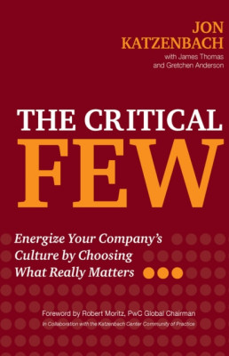 The Critical Few: Energize Your Company&amp;#039;s Culture by Choosing What Really Matters foto