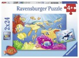 Vibrance Under the Sea (2 X 24 PC Puzzle)