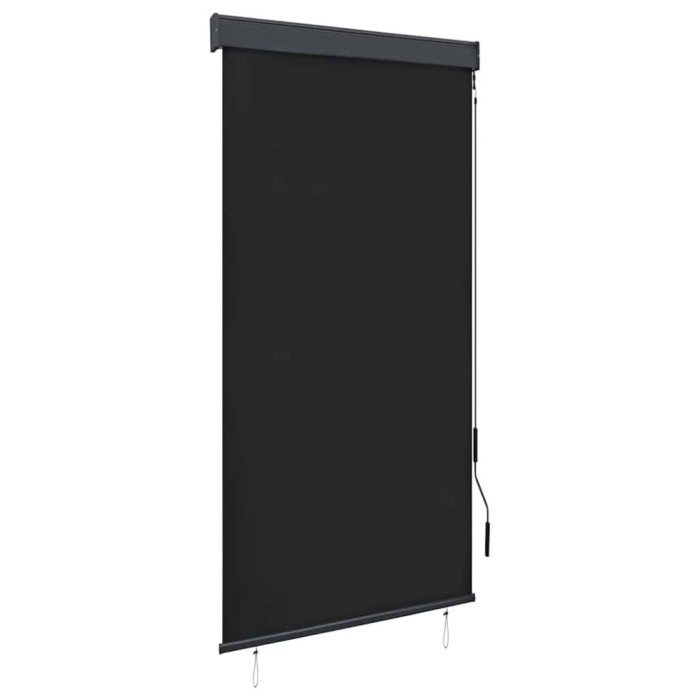Jaluzea tip rulou de exterior, antracit, 80 x 250 cm