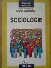 Lazar Vlasceanu coordonator - Sociologie 2011 Polirom, col. Collegium foto