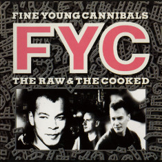 CD Fine Young Cannibals – The Raw & The Cooked (G+)
