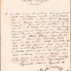 HST A822 Act 1887 semnat olograf fruntaș Pavel Fumor Nerău Timiș Banat