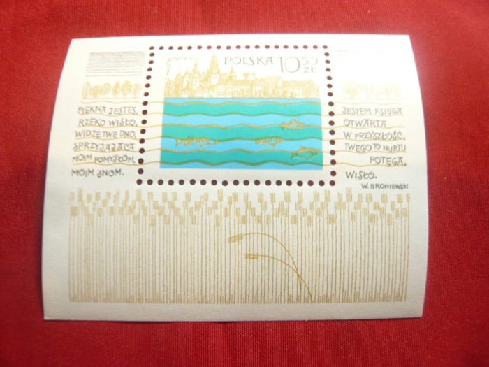 Bloc Polonia 1981 Kracowia