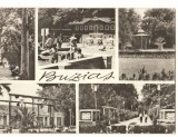 CPI B 10844 CARTE POSTALA - BUZUAS, MOZAIC, Circulata, Fotografie