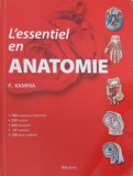 Carte L'essential en anatomie de P. Kamina - Franceza