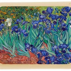 Tava Van Gogh Les Iris | Cartexpo