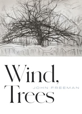 Wind, Trees foto