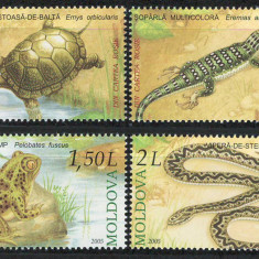 Moldova 2005 Mi 524/27 MNH - Reptile si amfibieni 27-3