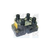 Meat &amp;amp; Doria bobina de inductie