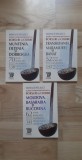 Mihai Tatulici - Borsuri si ciorbe . Toate borsurile si ciorbele de cel putin 100 de ani ( 2018 ) (3 volume) carte de bucate