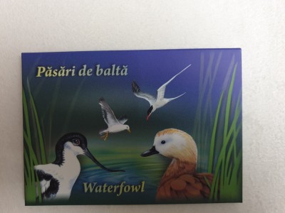Rom&amp;acirc;nia set maxime 2015 păsări de baltă foto