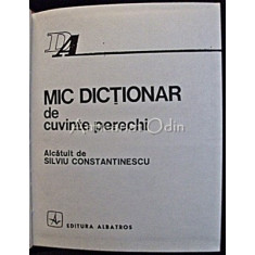 Mic Dictionar De Cuvinte Perechi - Silviu Constantinescu