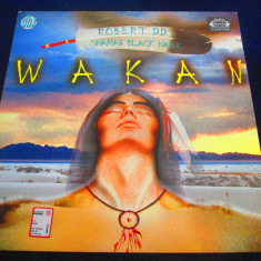 Robert DD Shaman Black Hawk - Hawk _ 12"maxi single,vinyl_ DBX ( 1996, Italia)