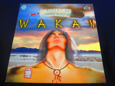 Robert DD Shaman Black Hawk - Hawk _ 12&amp;quot;maxi single,vinyl_ DBX ( 1996, Italia) foto