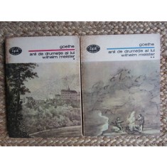 Goethe, Anii de drumeție ai lui Wilhelm Meister, 2 volume