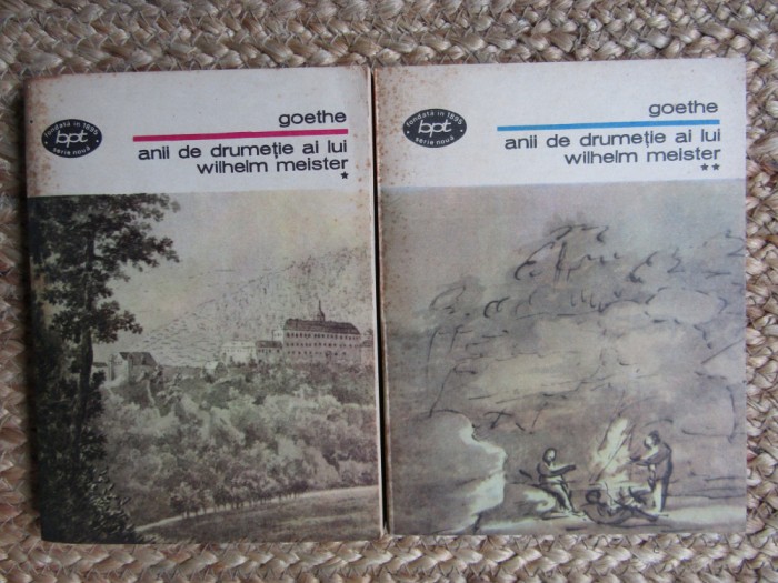 Goethe, Anii de drumeție ai lui Wilhelm Meister, 2 volume