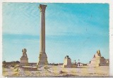 bnk cp Egipt - Alexandria - Coloana lui Pompei - Kruger 742/7 - necirculata