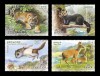 COREEA DE NORD 2021 FAUNA ANIMALE SALBATICE, Nestampilat