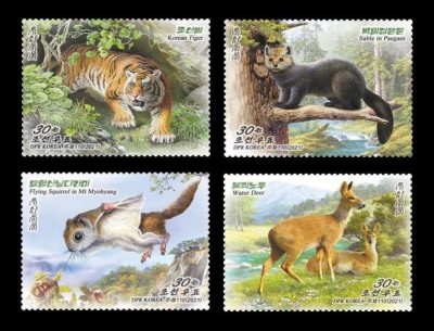 COREEA DE NORD 2021 FAUNA ANIMALE SALBATICE foto