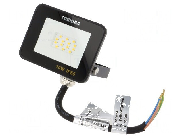 Lampă proiector LED 10W alb neutru 4000K 120&deg; IP65 230VAC