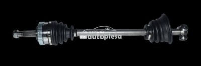 Planetara LAND ROVER FREELANDER (LN) (1998 - 2006) RINGER 1131006116 foto