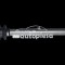 Planetara LAND ROVER FREELANDER (LN) (1998 - 2006) RINGER 1131006116