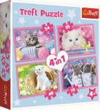 Puzzle trefl 4in1 pisicile se distreaza