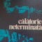 Calatorie neterminata - Yehudi Menuhin