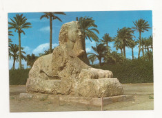 FA30-Carte Postala- EGIPT - Giza, The Sphinx of Sakkara, necirculata foto