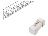 Siguranţă ardere rapidă 3,5A 250VAC 250V 125VDC